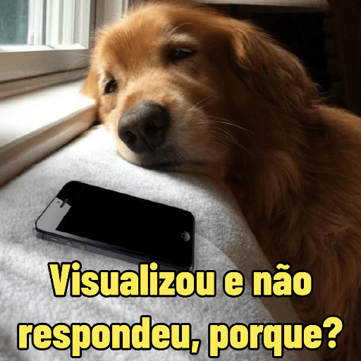Tô Esperando | Demorando 🙄 16
