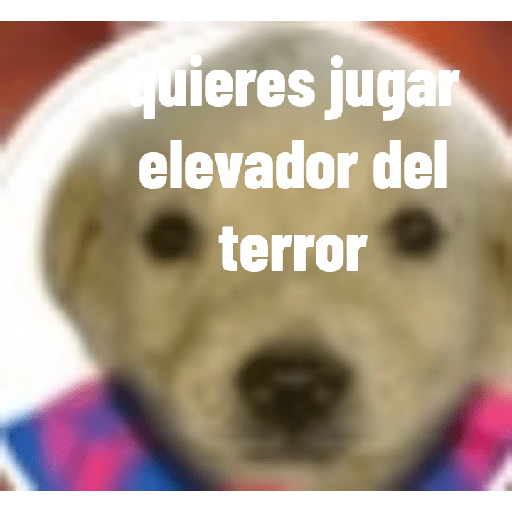 Perros graciosos 3 2