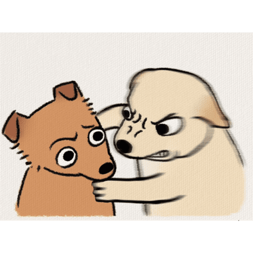 FUNNY PARA TIKTOK 10