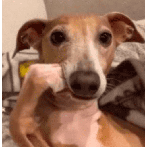 Figurinha 4