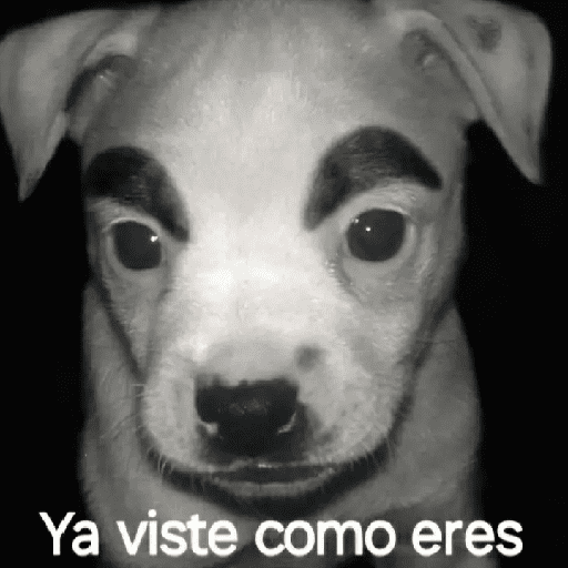 Mis pegatinas 8