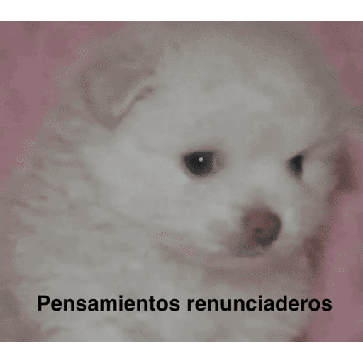 Jsjsjsjs xd 23