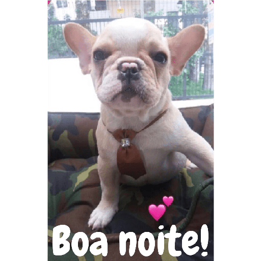 Boa noite 39 13