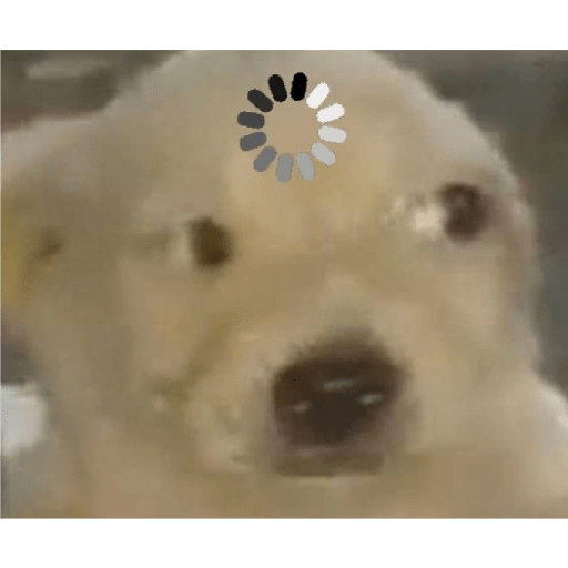 Uwu 8