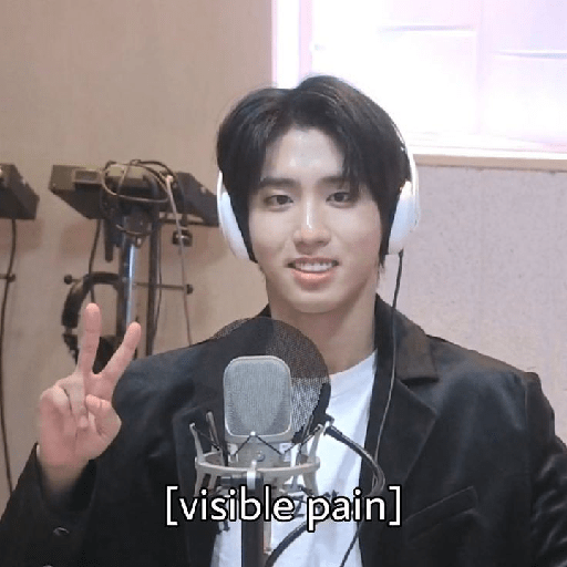 Straykids 12