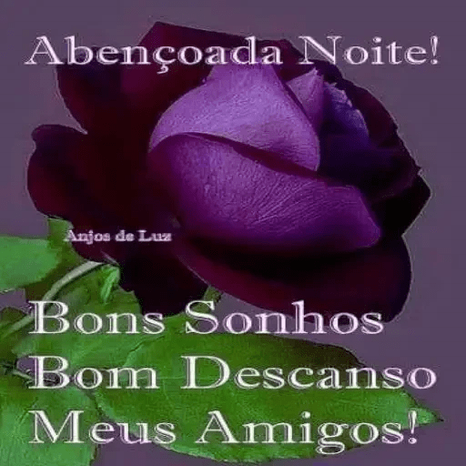 Boa noite 29 11