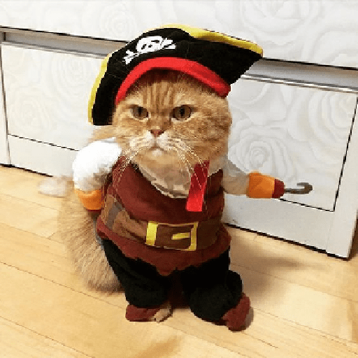 Pirate captain
