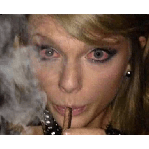 Taylor Swift Memes 28