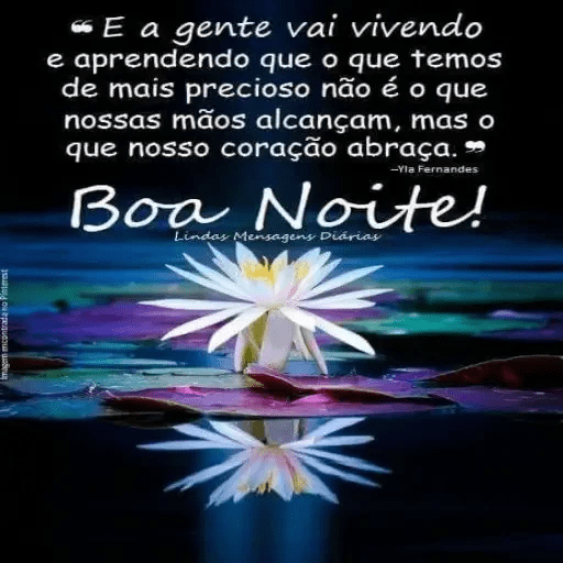 Boa noite 29 9