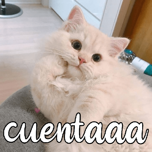 Gatitos 😽💜 19