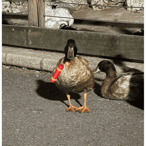 Patos  2