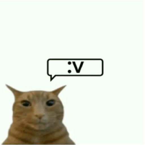 X videos 23