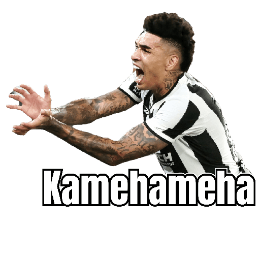 BOTAFOGO 3 10