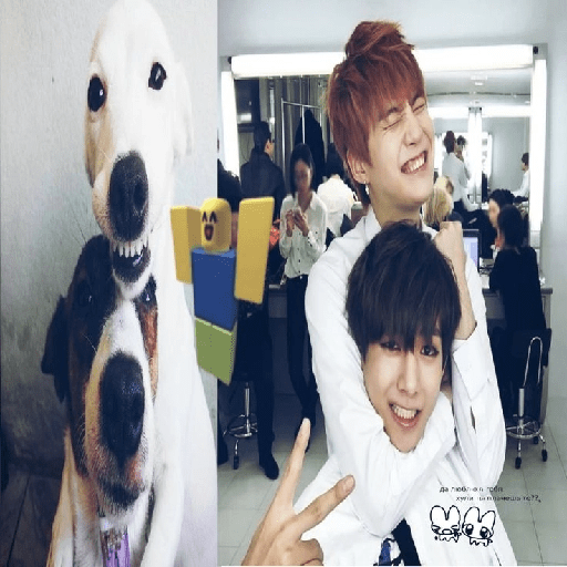 K-pop Sofi&osk 24