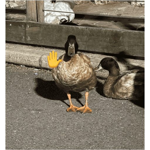 Patos  1