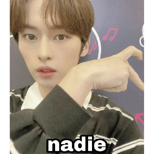 Straykids 28