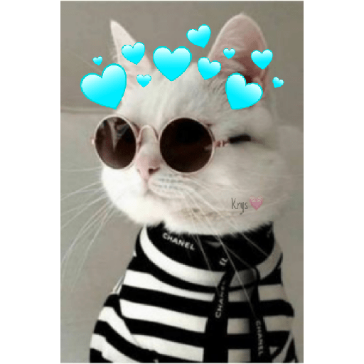 Gatitos 😽💜 9