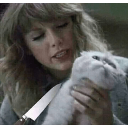 Taylor Swift Memes 20