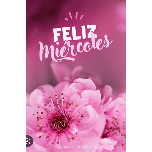 Feliz miercoles 20