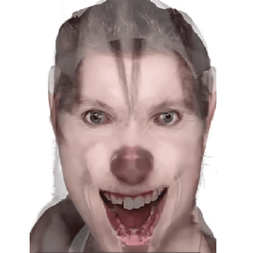 Random things idk 3