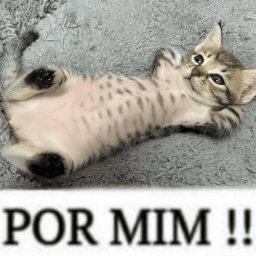 Figurinha 16
