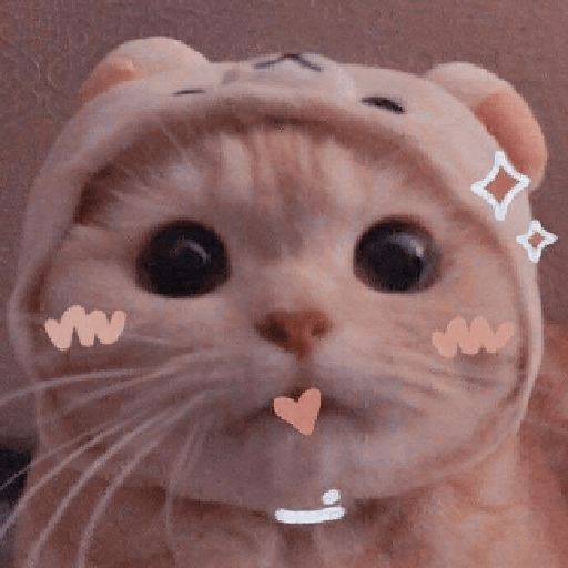 Sparkly kitty