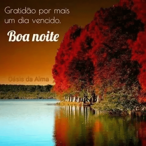 Boa noite 29 6