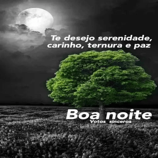 Boa noite 29 18
