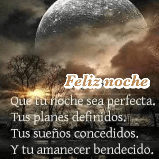 Feliz noche 9