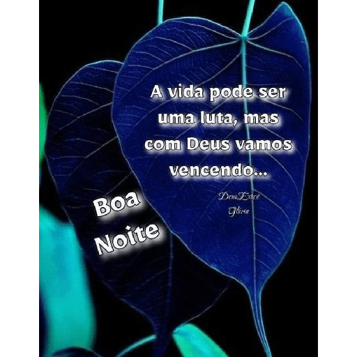 Boa noite 39 6