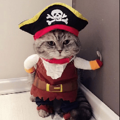 Tired pirate