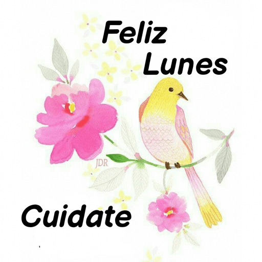 Lunes 23