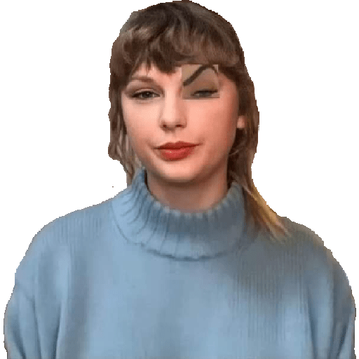Taylor Swift Memes 18