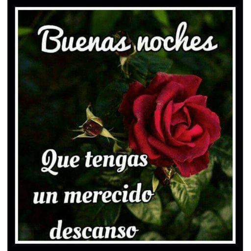 Feliz noche 3