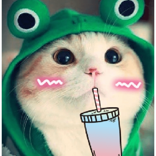 Frog boba sip