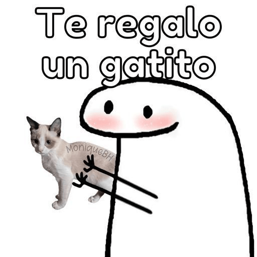 Flork⚪ 7
