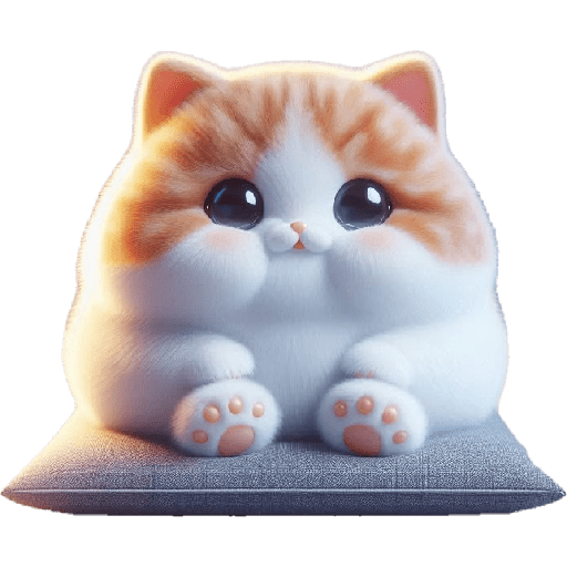 GATINHO NOVO 02 8
