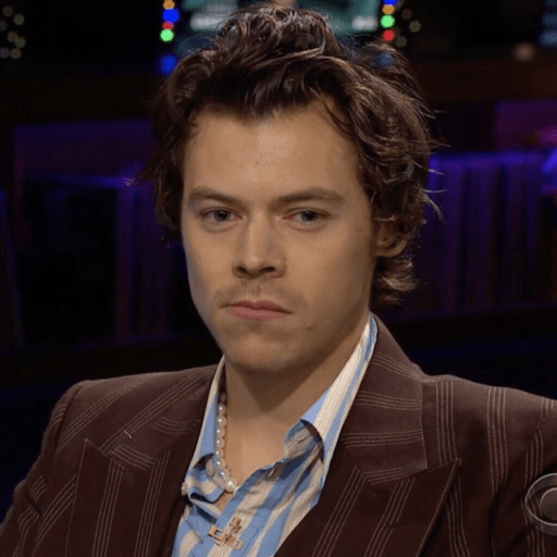 Harry style 22
