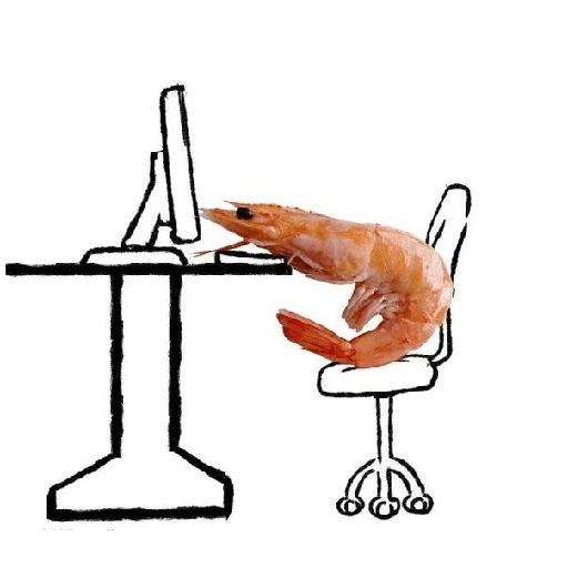  ׅ   ㅤ🦐꤮    ׂ   :  Random 20