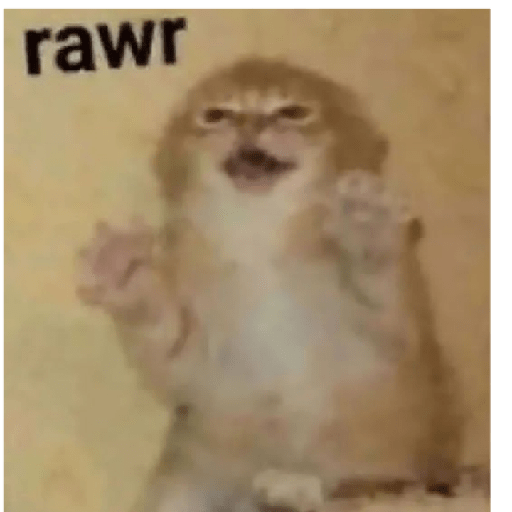 Cat 6