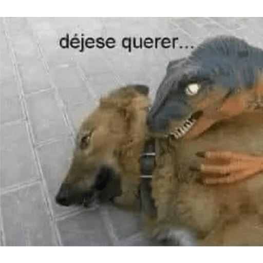 Es hacker  10