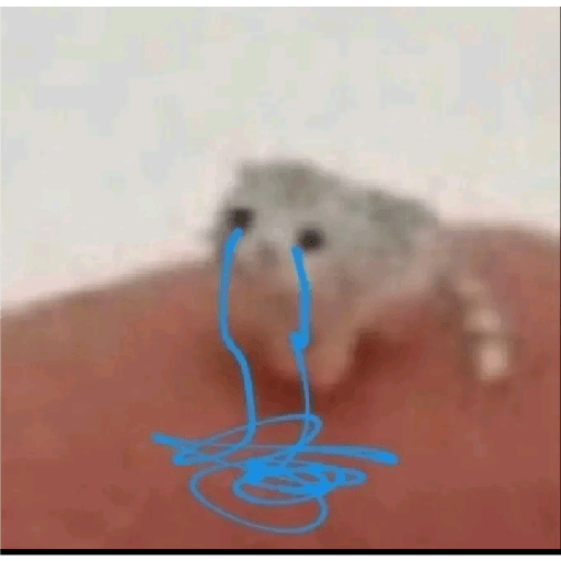 Sei lá kkk 25