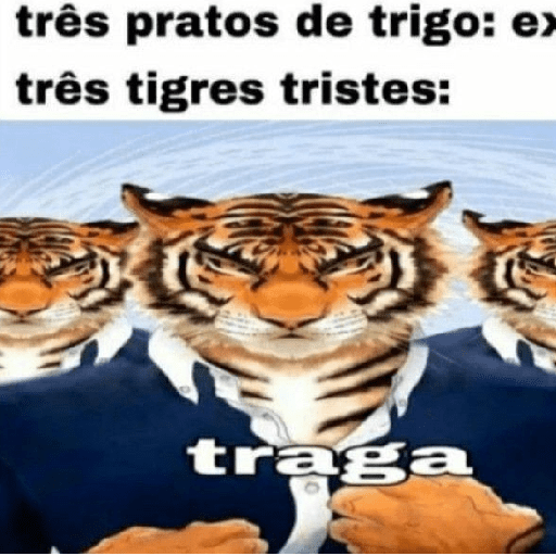 Tigre 17