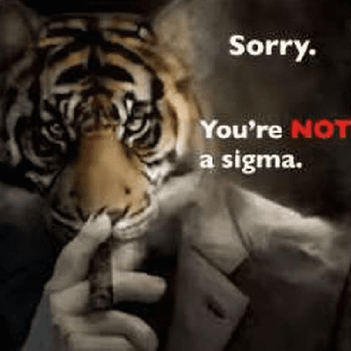 Tigre 19