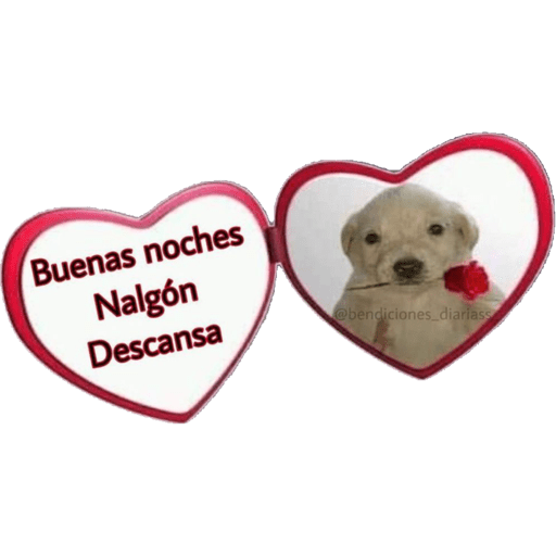 TKM 20