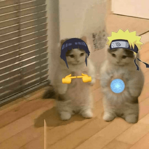 Anime cosplay cat 26