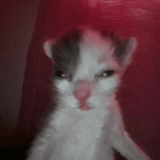 Manzana 27