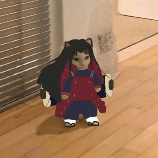 Anime cosplay cat 22