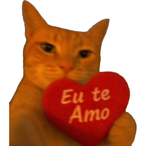 Gatos de amor  5