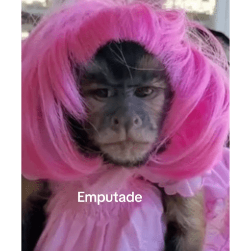 Monkyemociones 1